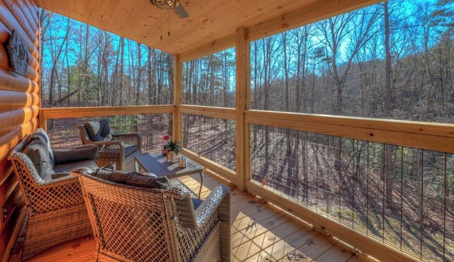 Not-so-Tiny cabin. King Bed and Secure Dog Yard. in Murphy