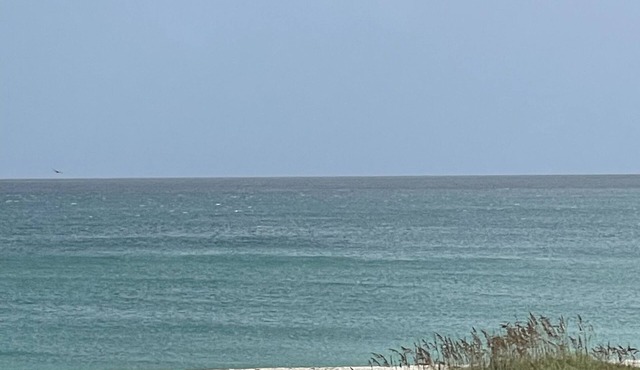 Oceanfront Fully Renovated Luxury Condo