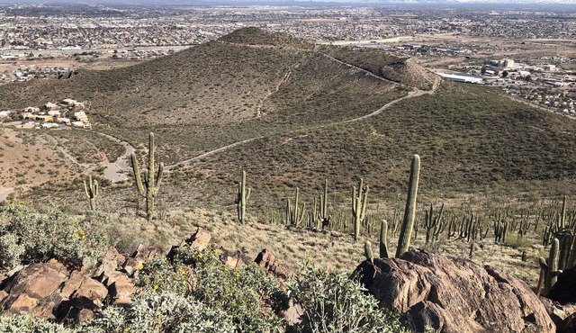 Paneramic views in Tucson