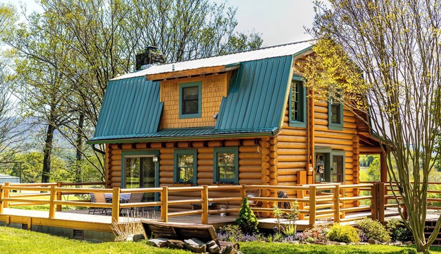 Pet Friendly Cabin near The Great Smoky Mountains Sleeps up to 3 People