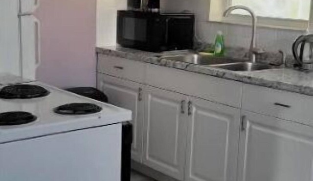 Purple dream in Warm Mineral Spring