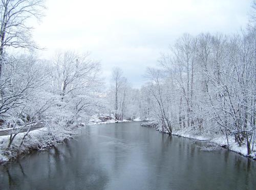 River Dreaming