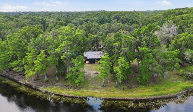 Riverfront Cabin w Screened Patio & Fire Pit! in Bushnell