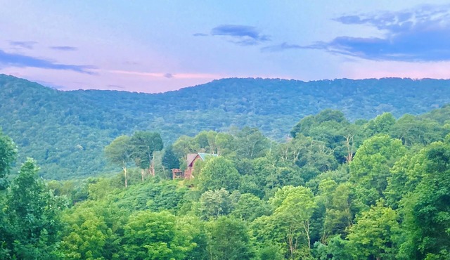 Roan Vista Cottage: Hiker's Paradise. Minutes From Roan Mountain State Park.