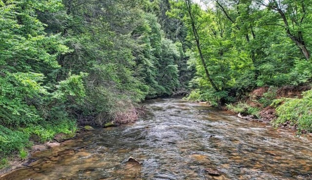 Rock N' River- Riverside retreat | Year Round Trout Stream | Master on Main in Blue Ridge