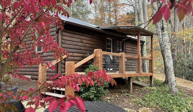 Rustic Ridge a cabin close to hiking and skiing!