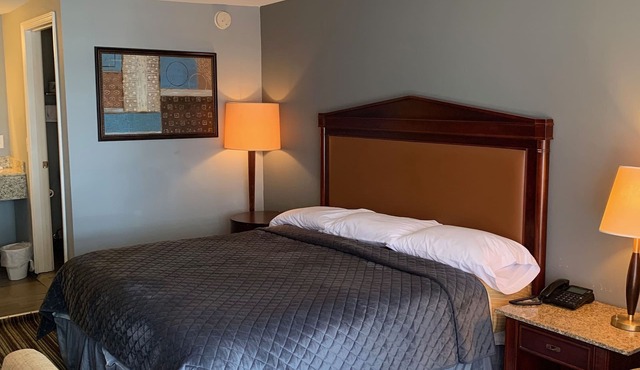 Safari Inn