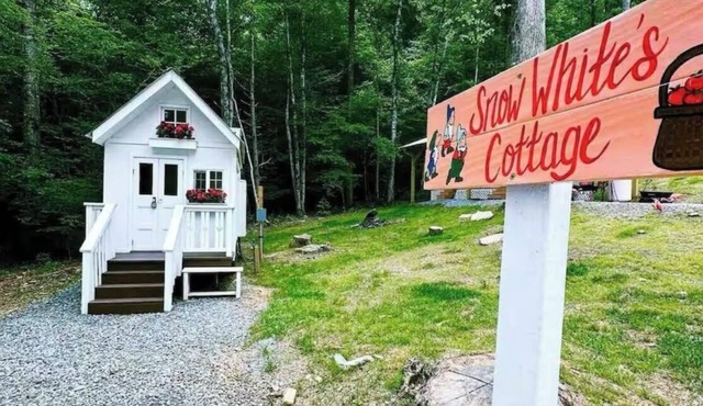 Snow White Cottage by Creek – Cozy Retreat with Fireplace, Petting Zoo & Firepit