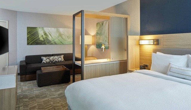 SpringHill Suites by Marriott Charlotte at Carowinds