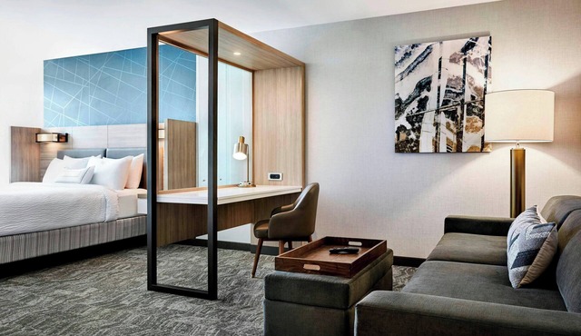 Springhill Suites By Marriott Braselton in Hoschton