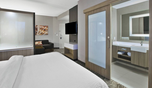 SpringHill Suites by Marriott Chattanooga North/Ooltewah