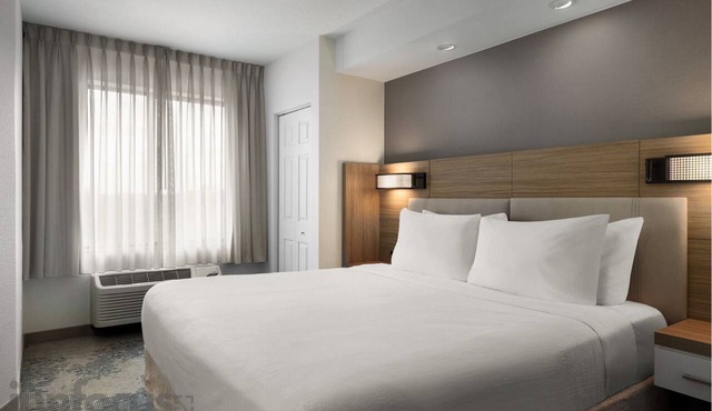 Springhill Suites by Marriott Tampa Brandon