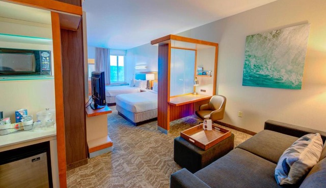 SpringHill Suites by Marriott Macon
