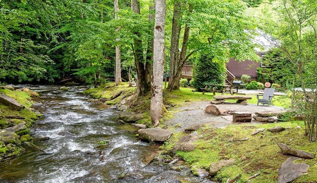 Stunning Yurt with Magnificent Creek Views in Topton, North Carolina
