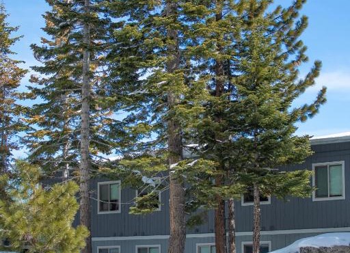 Tahoe Trail Resort in Stateline