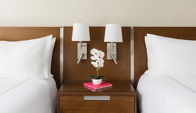 The Altair Hotel Bay Harbor Miami, 3 Double Queen Rooms, Pool, Pets Allowed!
