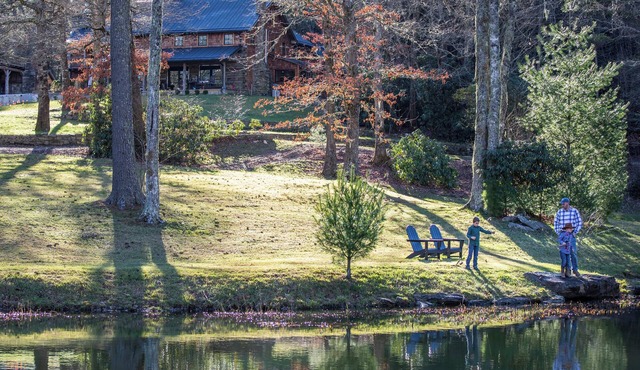 The Peregrine: Flat Mountain Farm - expansive luxury home on historic 28 acre rhododendron farm