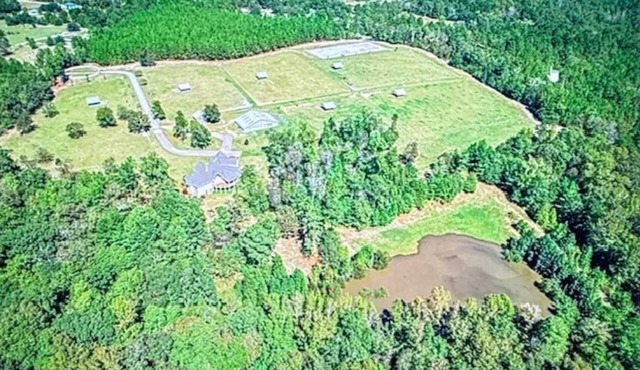 Tranquil farmhouse apartment with AC in charming Aiken. Active horse farm