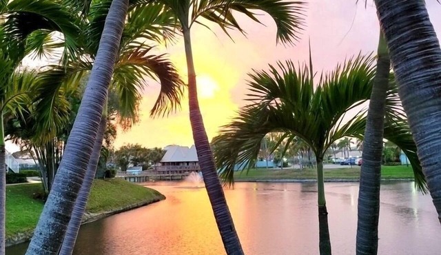Tropical Getaway in Jupiter, Fl - Bella Vista on the Park.