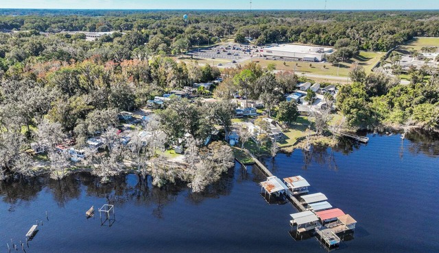 Tropical Lakeside Studio in Tiny‑Home Community — Steps to Docks & Fishing