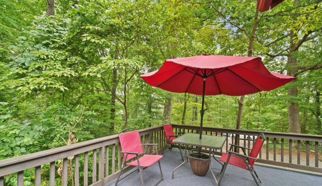 Vineyard Mountain Cottage on 7 Acres - Private yet Close to Town! in Tryon