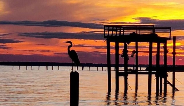 Waterfront Home W/Private, Soft Sandy Beach & 300' Dock
