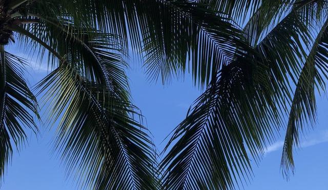 Your Home Away from Home in Vero Beach