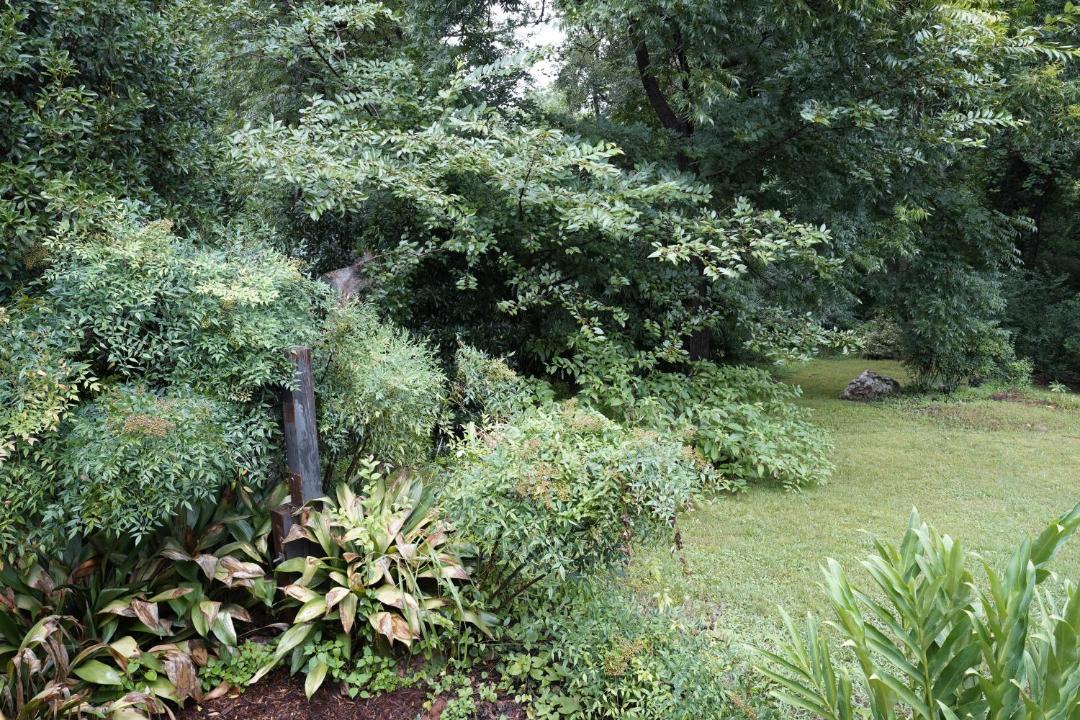 Oakhurst House | Charming bungalow minutes from uptown Charlotte