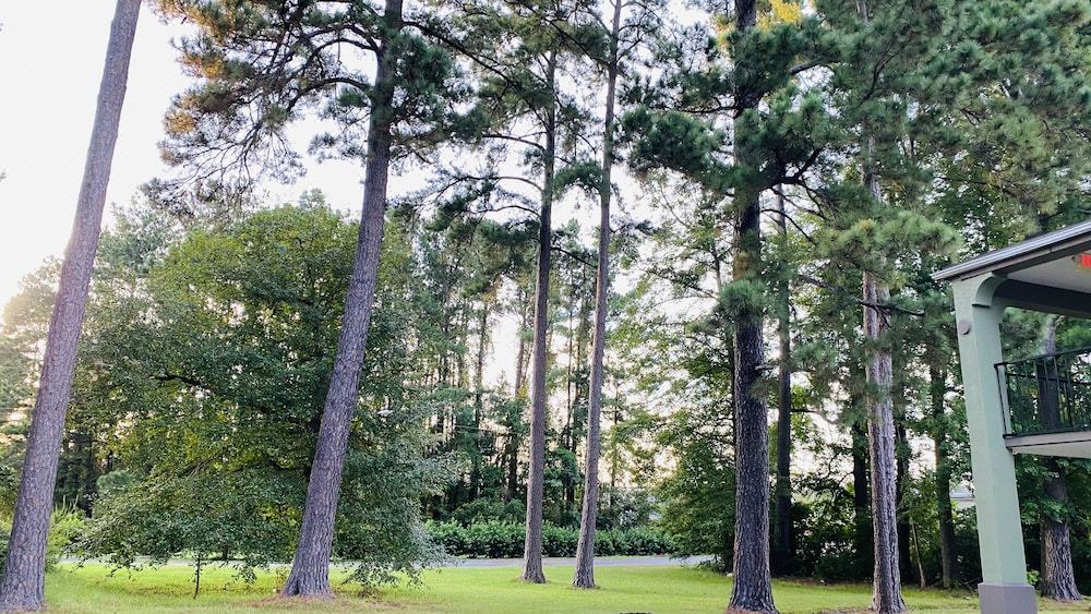 Photo of Others in Walterboro