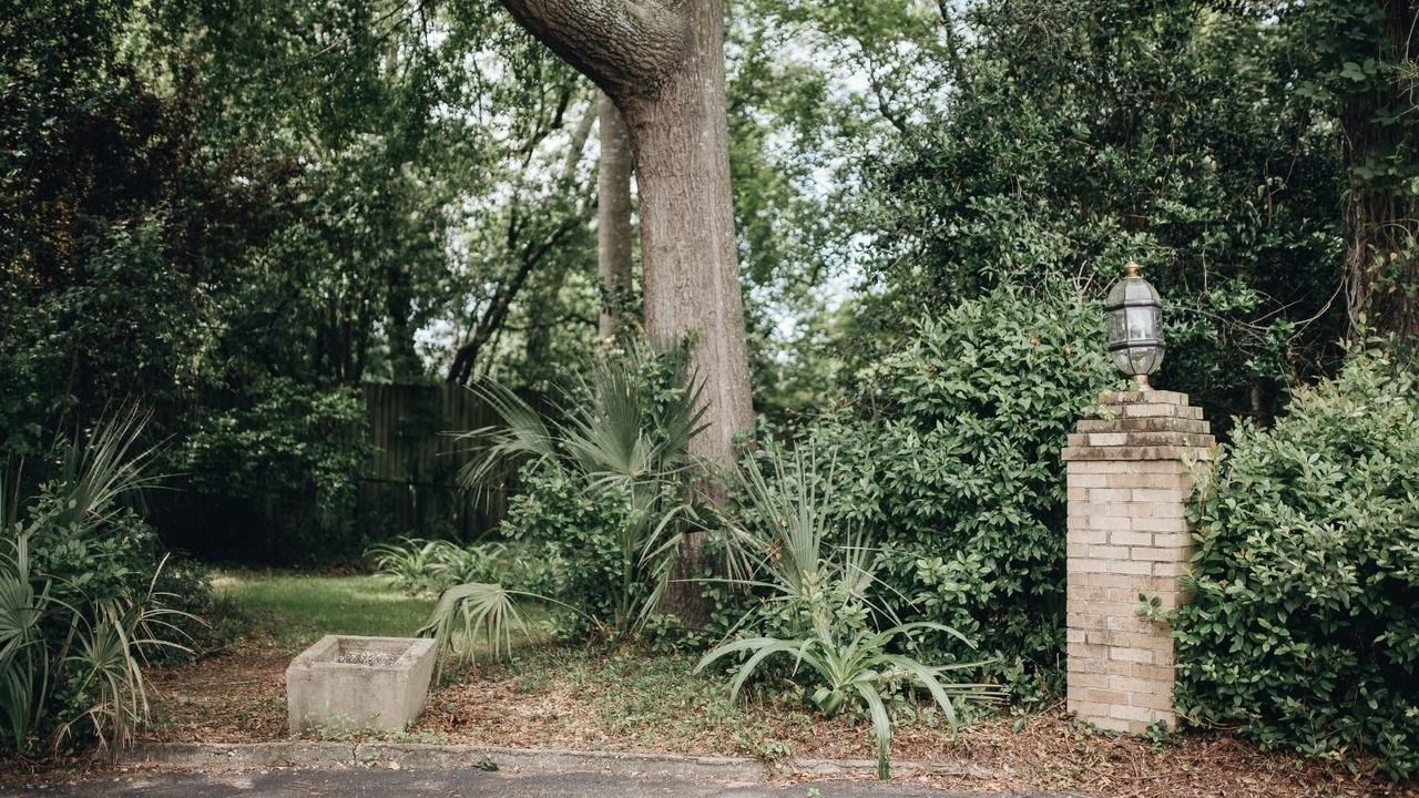 Photo of Others in Sumter