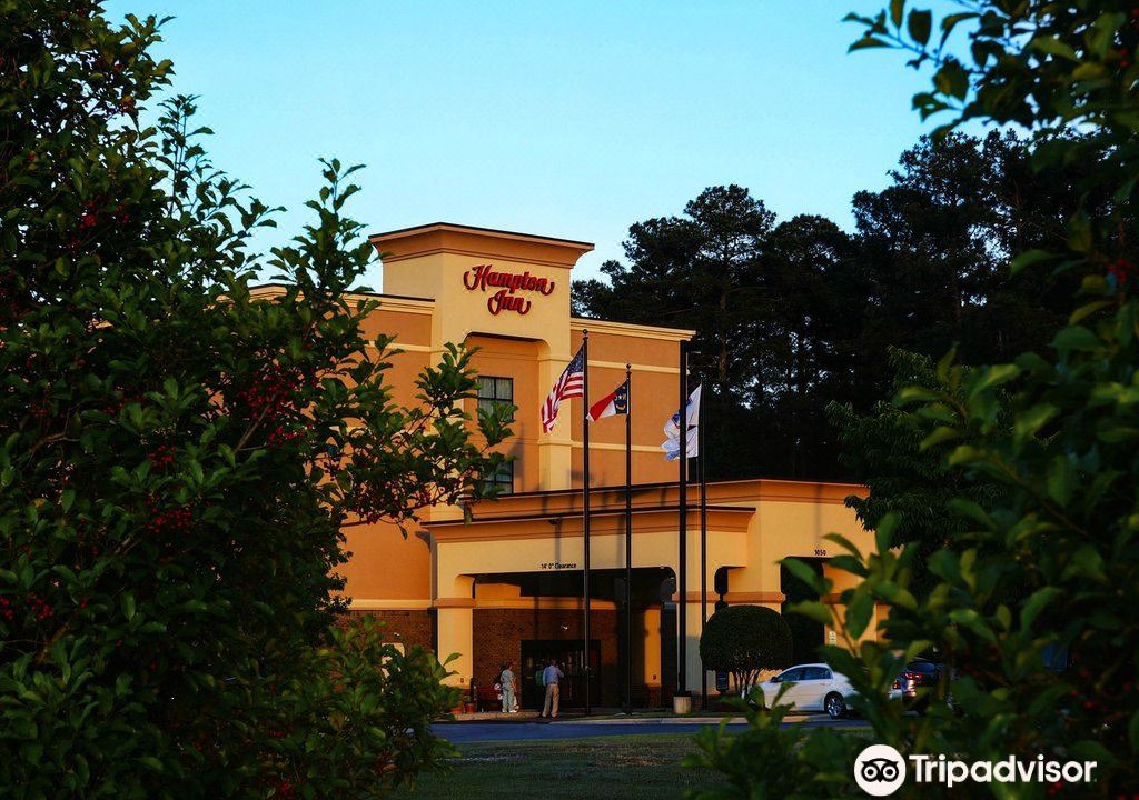 Photo of Buildings in Pine Forest