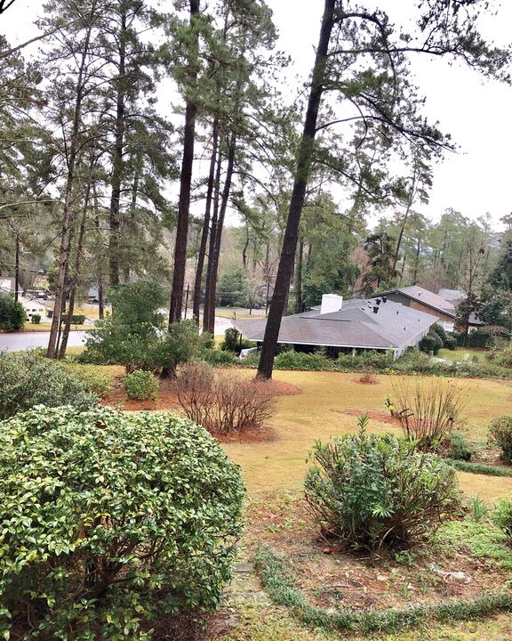 Photo of Others in Summerville