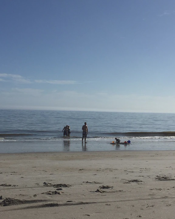 Photo of Others in Folly Field