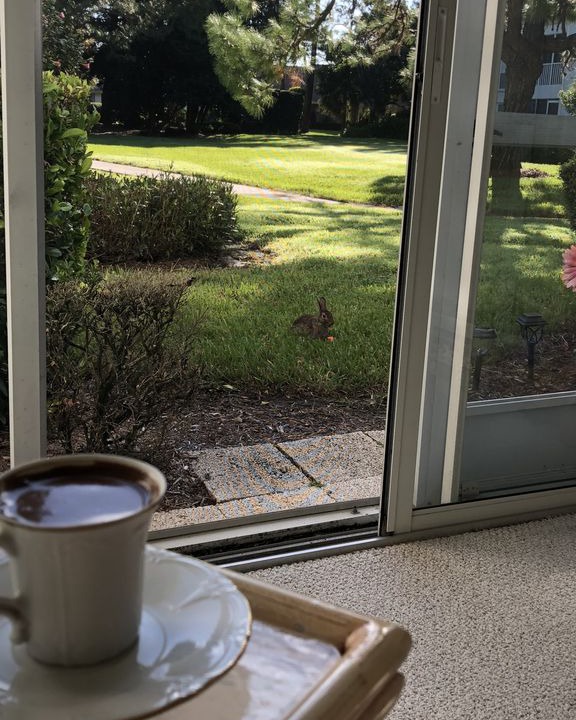 Photo of Patio Balcony in The Meadows