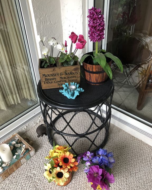 Photo of Patio Balcony in The Meadows
