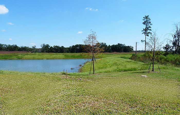 Photo of Outdoor in Veranda Palms