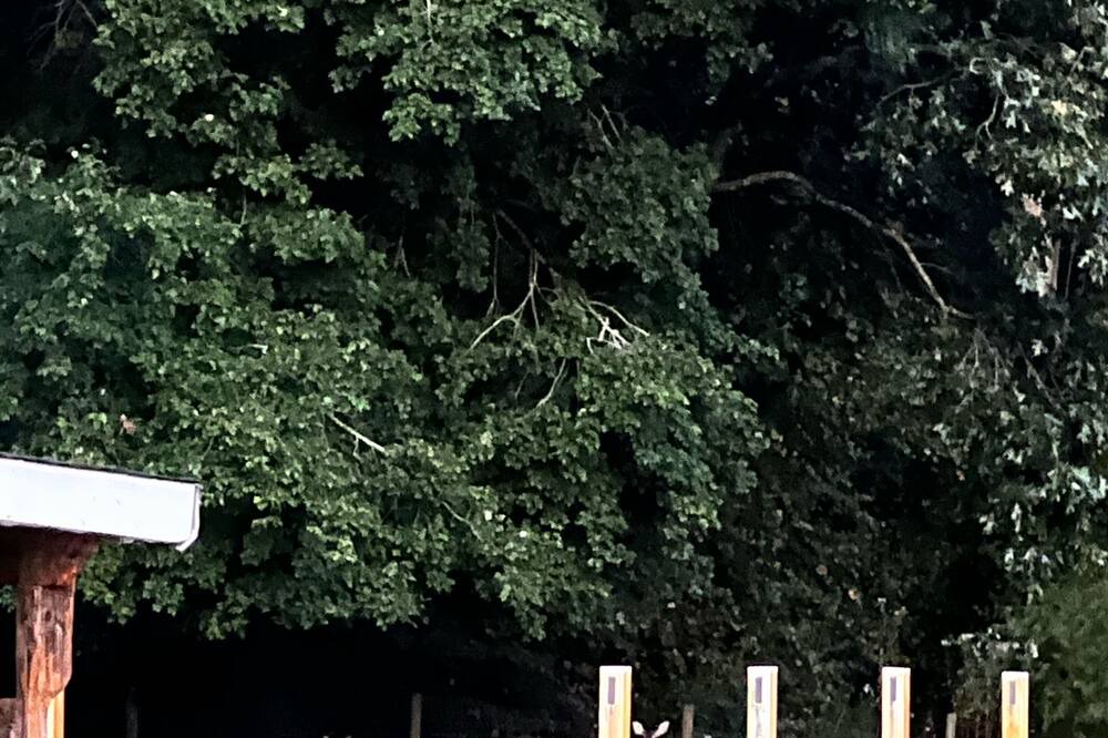Photo of Outdoor in Fuquay-Varina