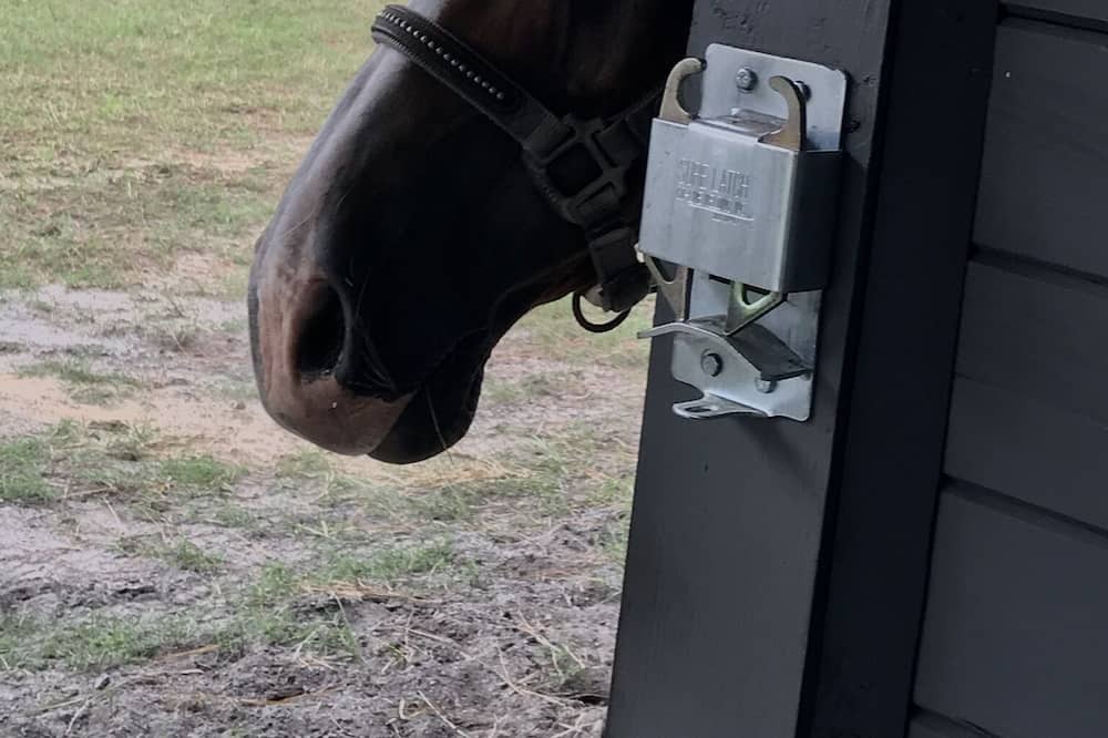 Photo of Others in Aiken