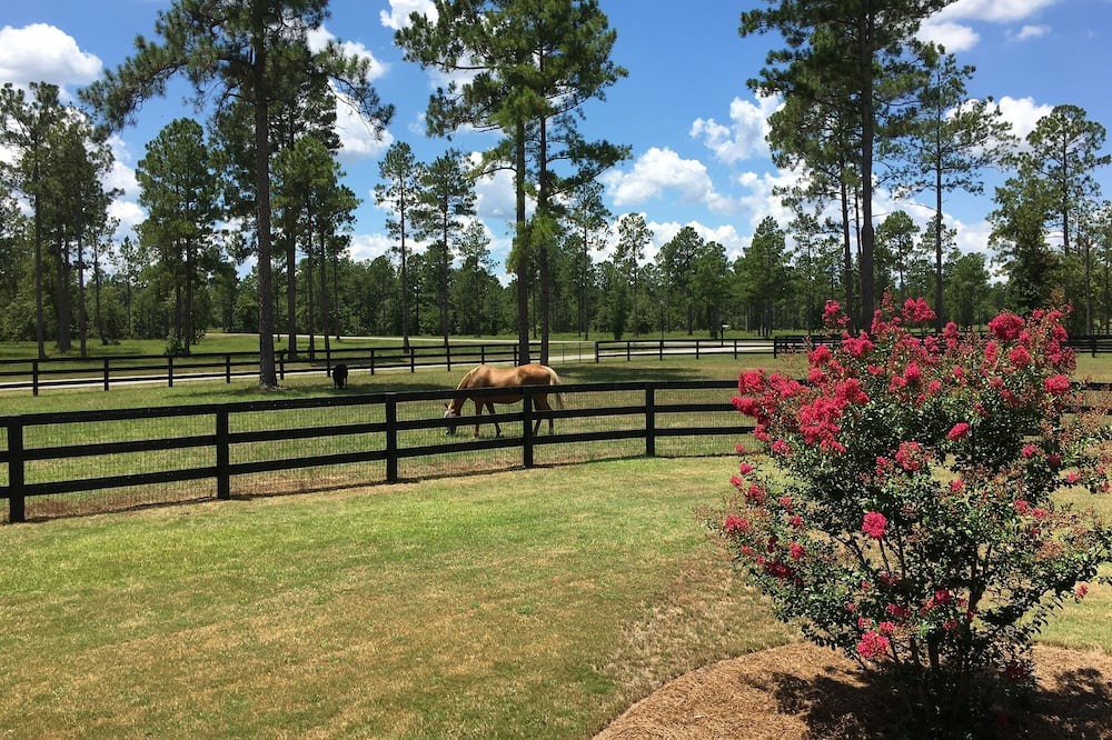Photo of Others in Aiken