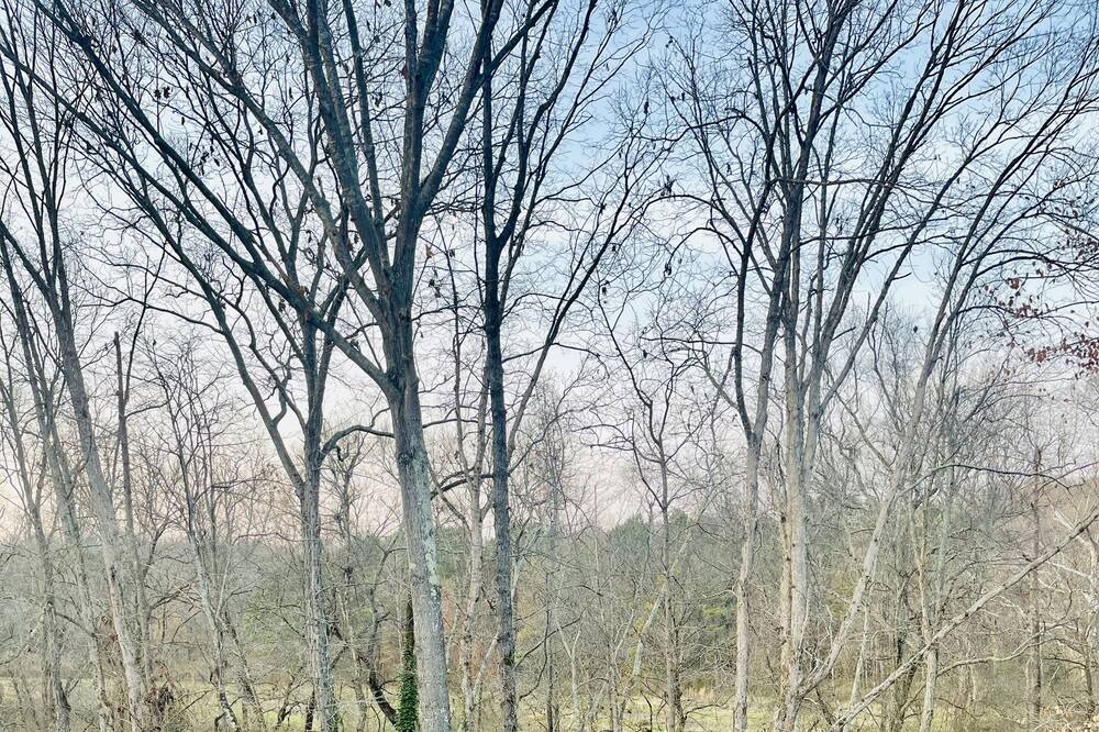 Photo of Outdoor in Winder