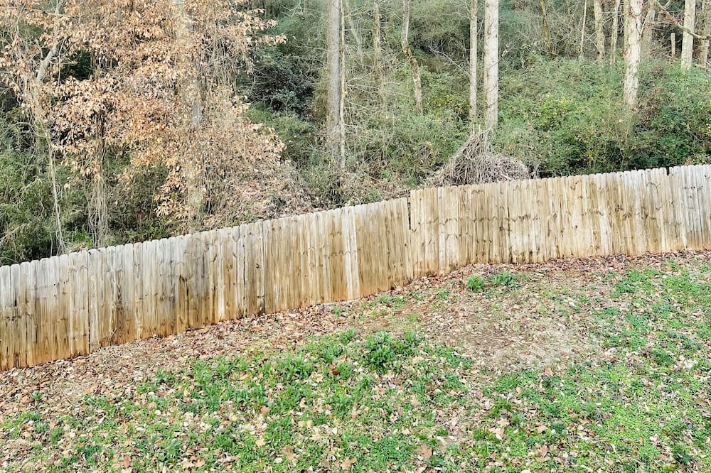 Photo of Others in Winder