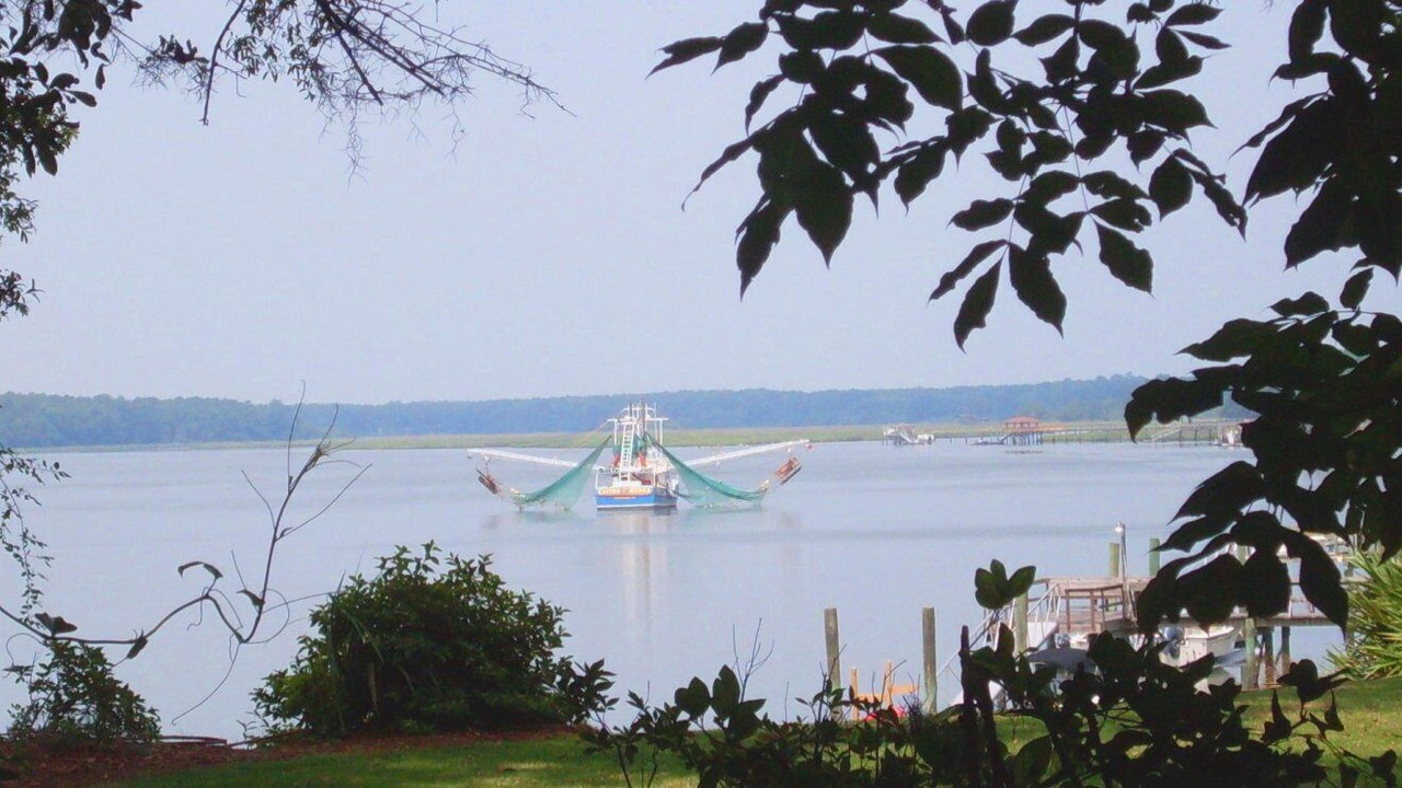 Photo of Others in Bluffton