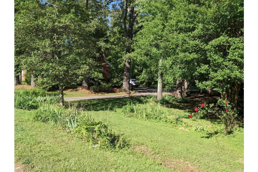 Photo of Outdoor in Walhalla