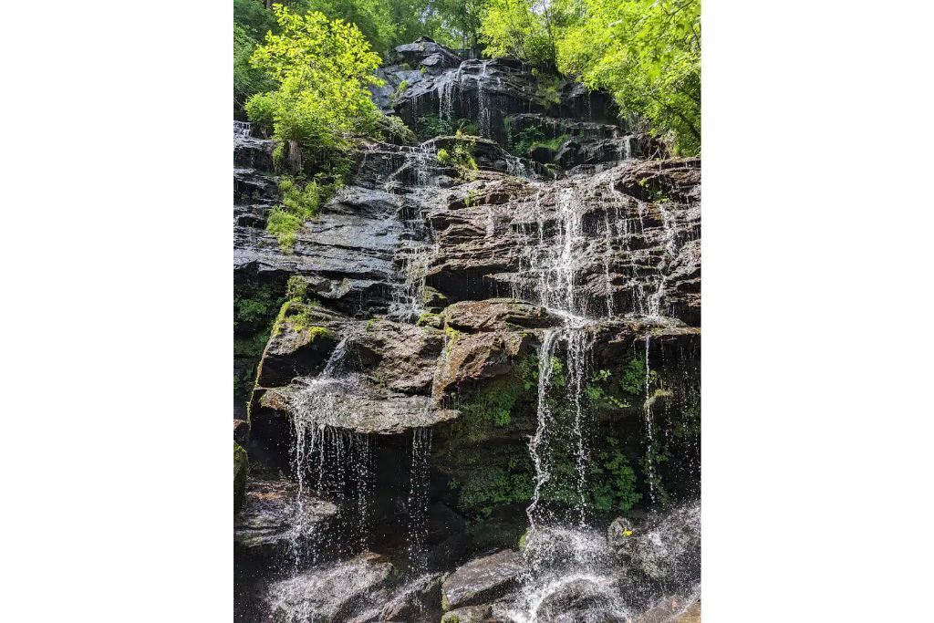 Photo of Outdoor in Walhalla