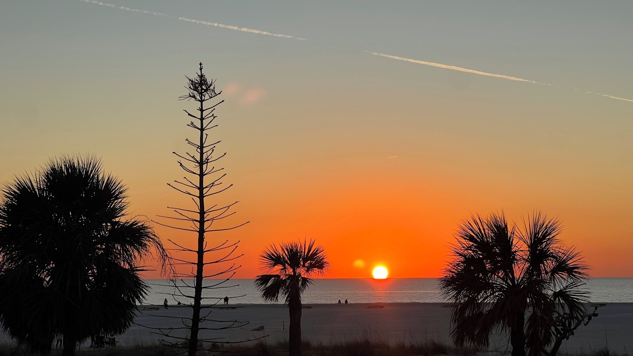 Photo of Outdoor in Treasure Island