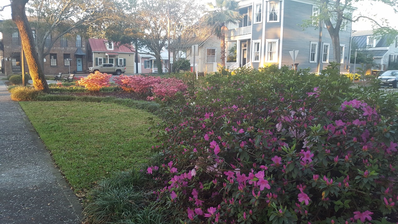 Photo of Outdoor in Historic District - North