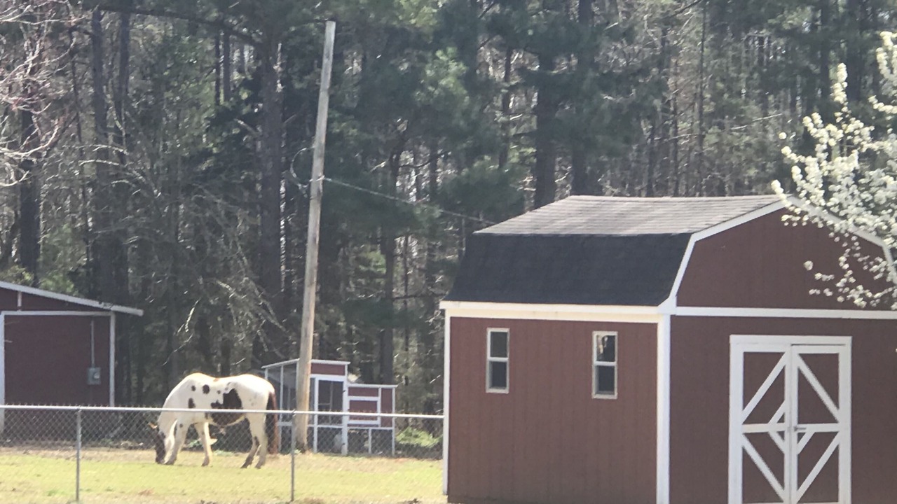 Photo of Outdoor in Chapin