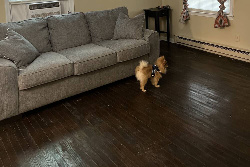 Photo of Livingroom in Darlington