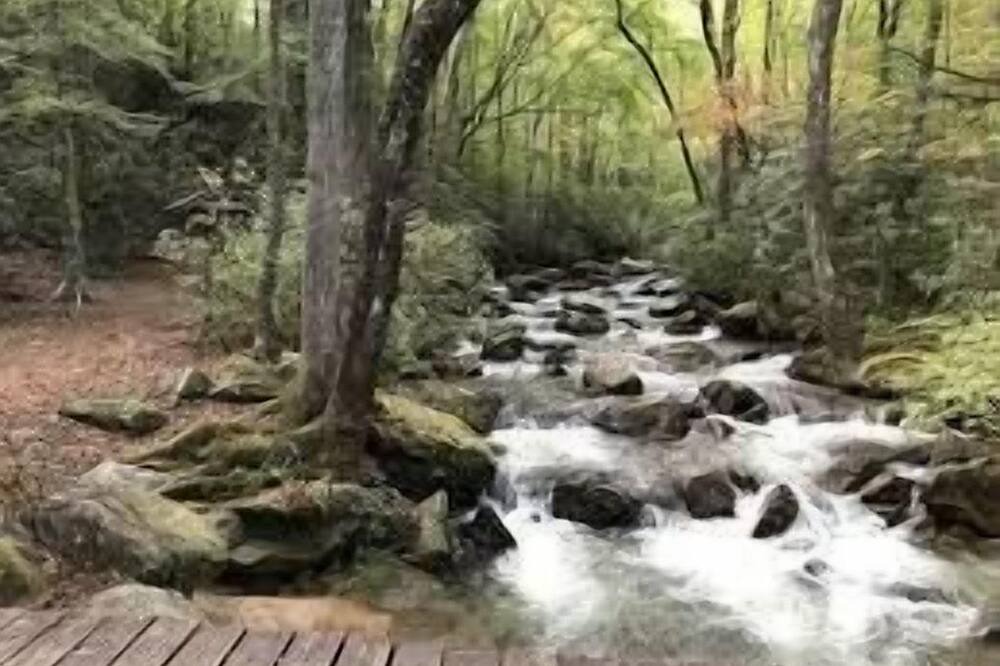 Photo of Others in Pickens