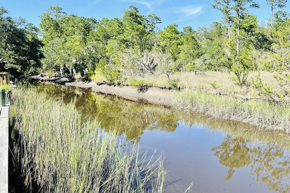 Photo of Others in Johns Island